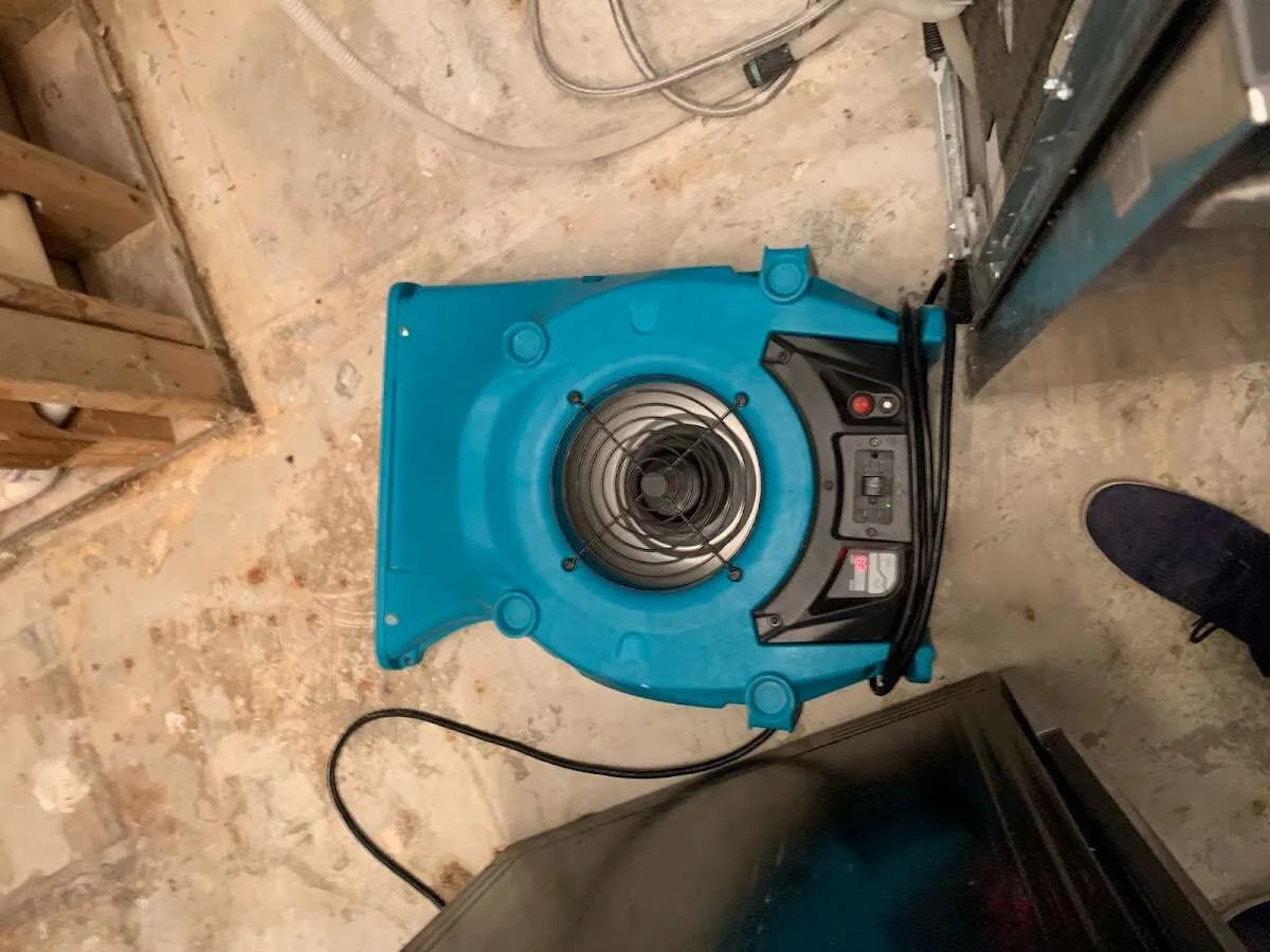 Air mover drying equipment for Mold Remediation & Removal in Perryton